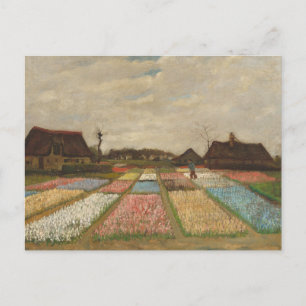 Postal Camas de flores en Holanda, por Vincent Van Gogh P
