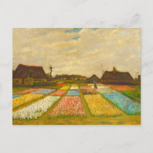 Postal Camas de flores Vincent van Gogh en Holanda