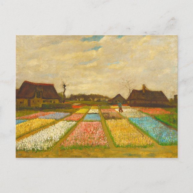 Postal Camas de flores Vincent van Gogh en Holanda (Anverso)