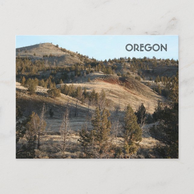 Postal Camas fósiles John Day (Anverso)