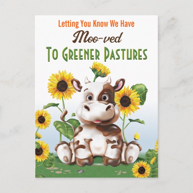 Postal Cambio de dirección de girasol de vaca (Anverso)