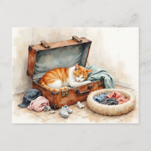 Postal Cambio de dirección divertido de gato naranja