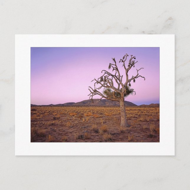 Postal " Cambio de forma fantasma " (Anverso)