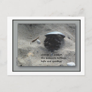 Postal Cambio de las estaciones