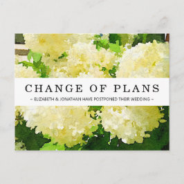 Postal Cambio de planes White Annabelle Hydrangea Postcar