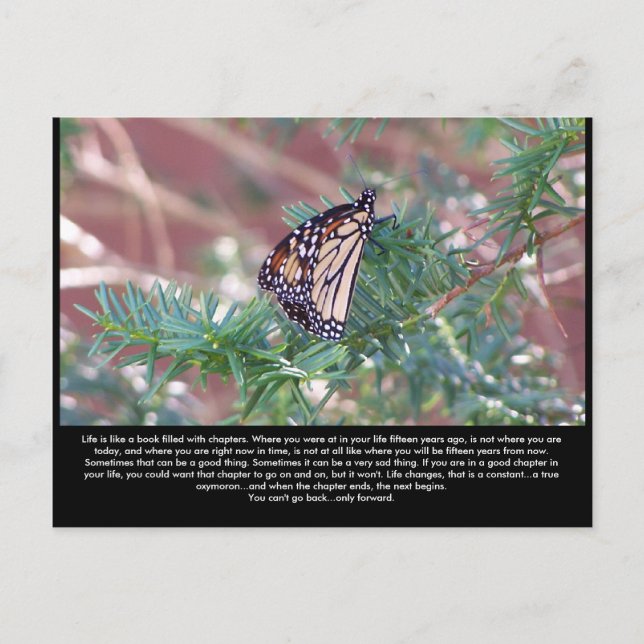 Postal Cambios en la vida de los regalos inspiradores (Anverso)