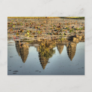 Postal Camboya, Angkor Wat. Reflexión del templo