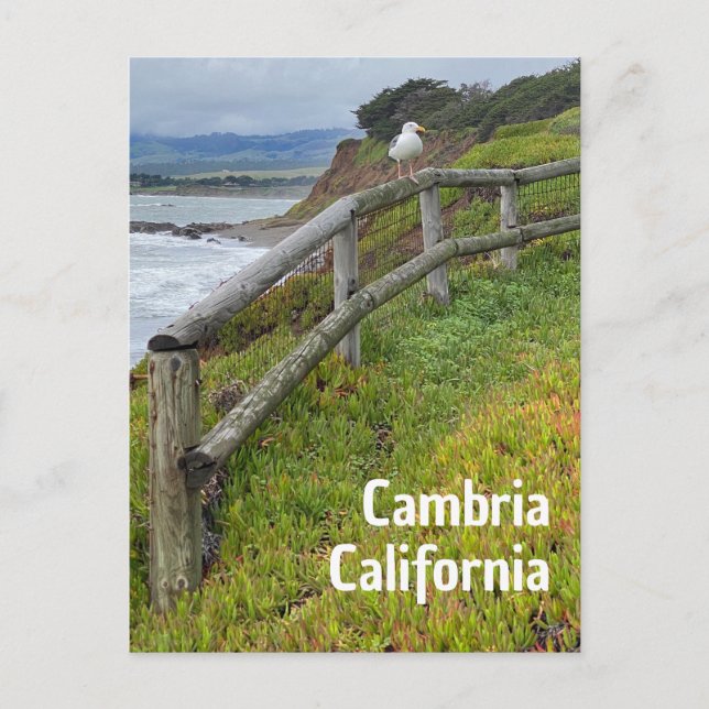 Postal Cambria California (Anverso)