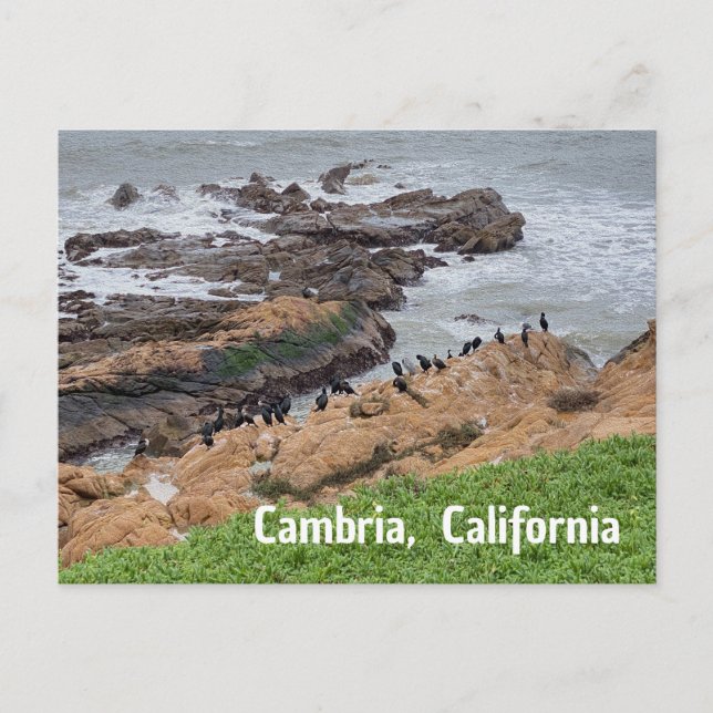 Postal Cambria California (Anverso)