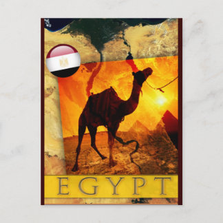 POSTAL CAMEL EGIPCIO