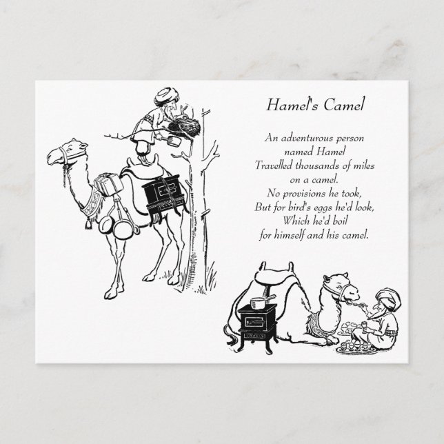 Postal Camel Limerick de Hamel (Anverso)