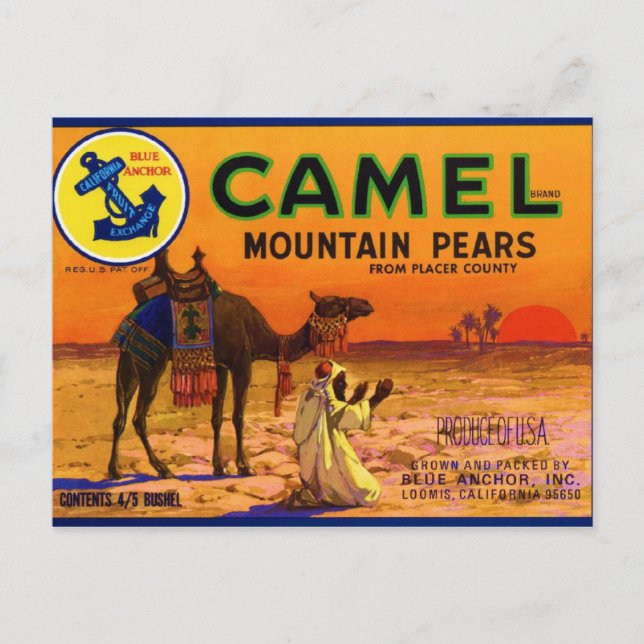 Postal Camel Pears (Anverso)