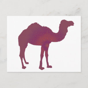 Postal Camel Prestige