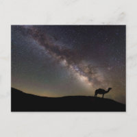 Camel Silhouette y Milkyway