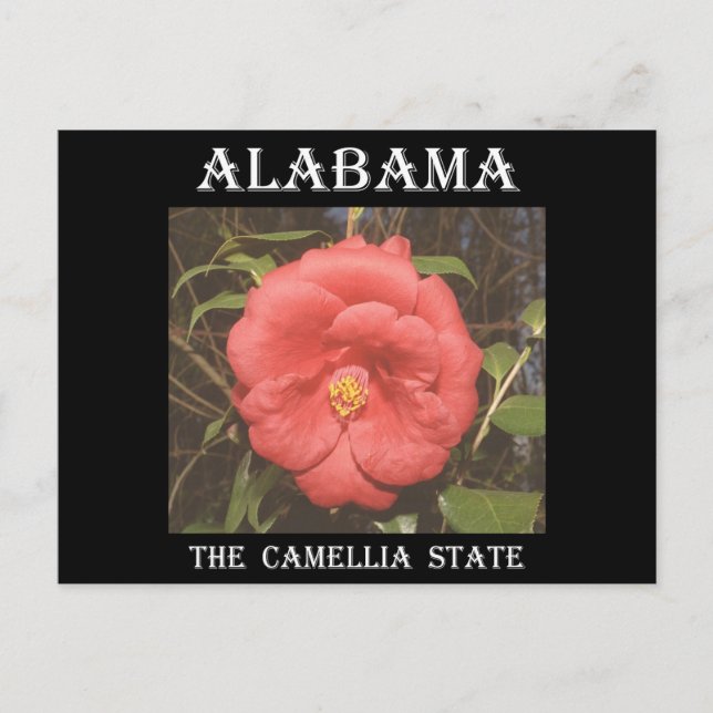 Postal Camelia de Alabama (Roja) (Anverso)