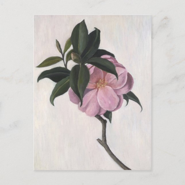 Postal Camellia 1998 (Anverso)