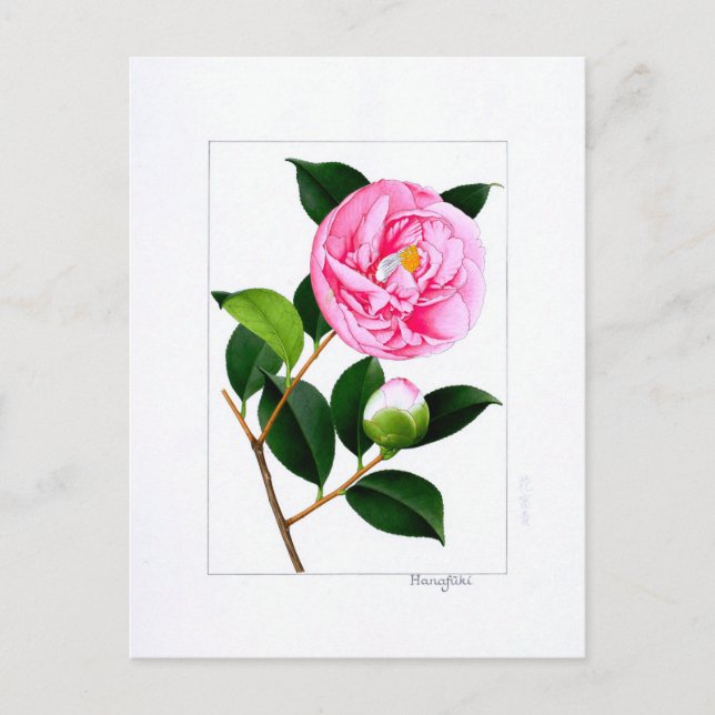 Postal Camellia Plate: Hanafuki (Anverso)