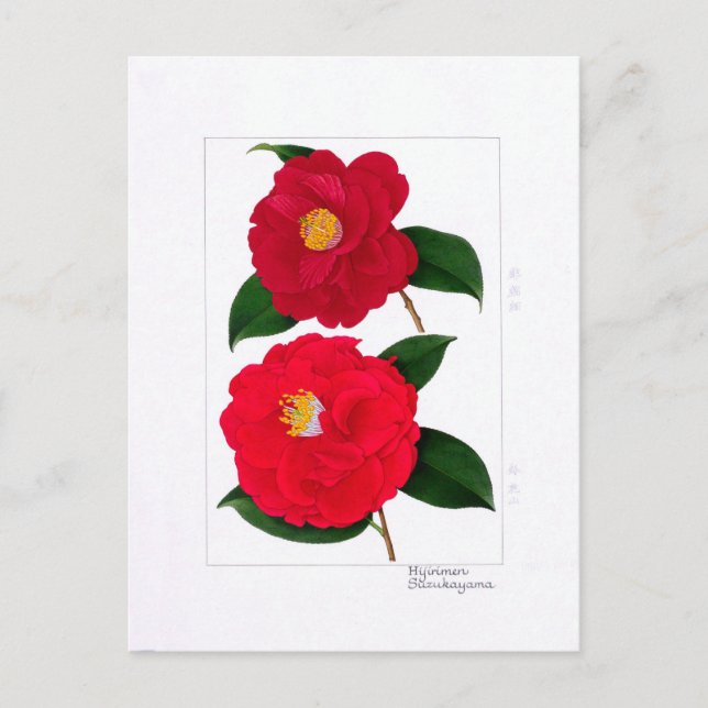 Postal Camellia Plate: Hijirimen & Suzukayama (Anverso)