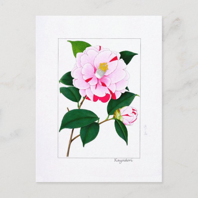 Postal Camellia Plate: Kayoidori (Anverso)