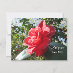 Postal Camellia Roja Radiante - Personalizada