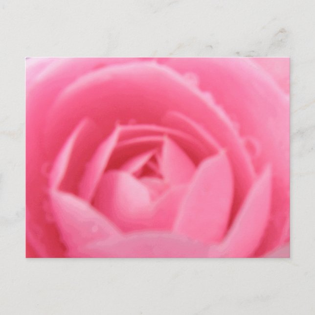 Postal Camellia rosa (Anverso)