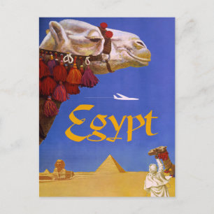 Postal Camello de Egipto