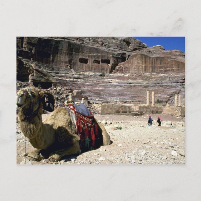 Postal Camello frente al Teatro Romano, Jordania (Anverso)