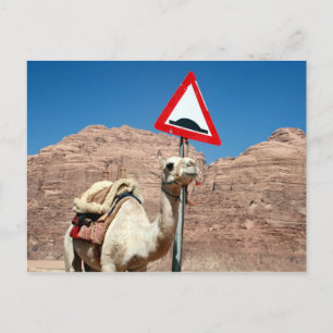 Postal camello hump jordan