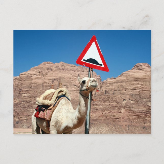 Postal camello hump jordan (Anverso)