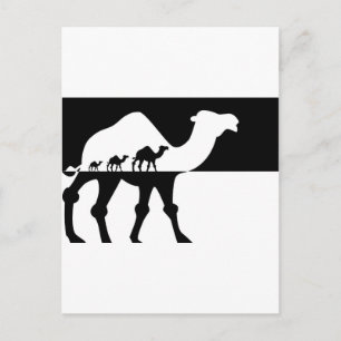 Postal Camellos