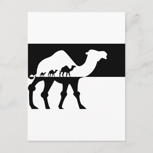 Postal Camellos (Anverso)