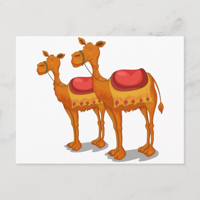 Postal Camellos (Anverso)