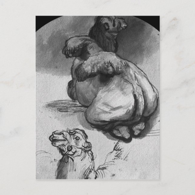 Postal Camellos (Anverso)