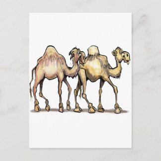 Postal Camellos