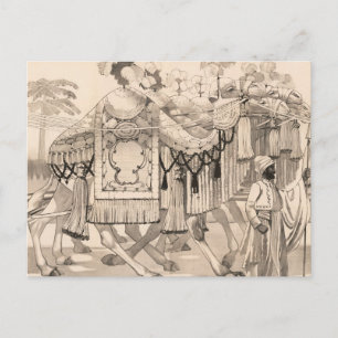 Postal Camellos Caminando Vestidos De Disfraz