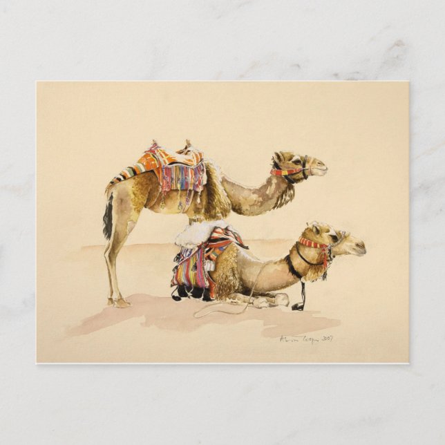 Postal Camellos de Petra 2007 (Anverso)