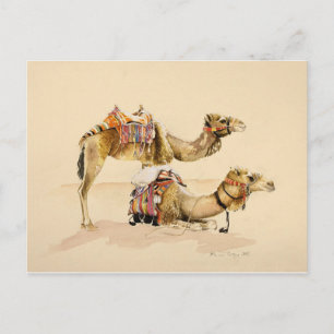 Postal Camellos de Petra 2007