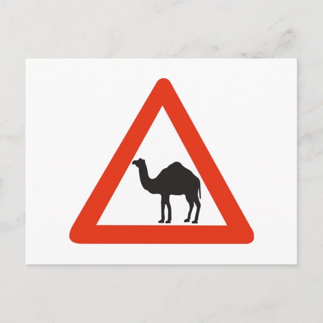 Postal Camellos de precaución, Rótulo de tráfico, Emirato (Anverso)