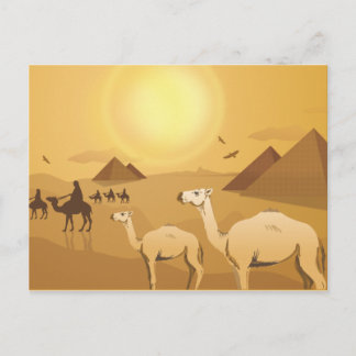 Postal Camellos del desierto de Egipto