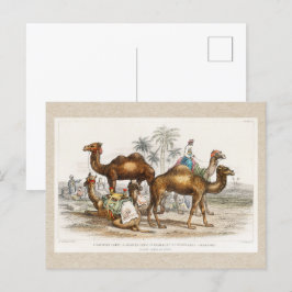 Postal Camellos del Ilustracion de la India Vintage, 1820