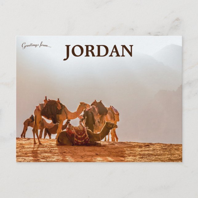 Postal Camellos en el desierto de Jordania (Anverso)