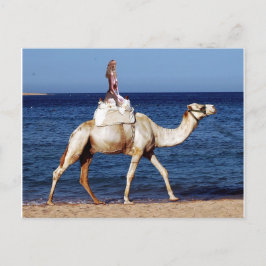 Postal Camellos en la playa