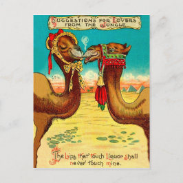 Postal Camellos enamorados, divertidos St. Valentines vin