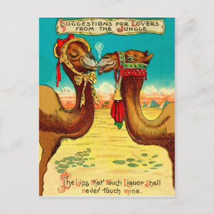 Postal Camellos enamorados, divertidos St. Valentines vin