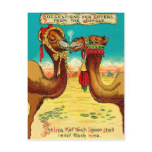 Camellos enamorados, divertidos St. Valentines vin