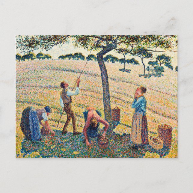 Postal Camille Pissarro - Apple Harvest (Anverso)