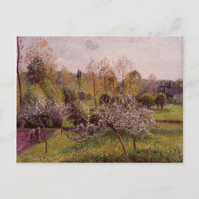 Postal Camille Pissarro - Árboles de manzanas con flores, (Anverso)