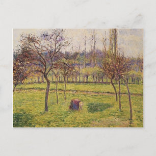 Postal Camille Pissarro - Árboles de manzanas en un campo