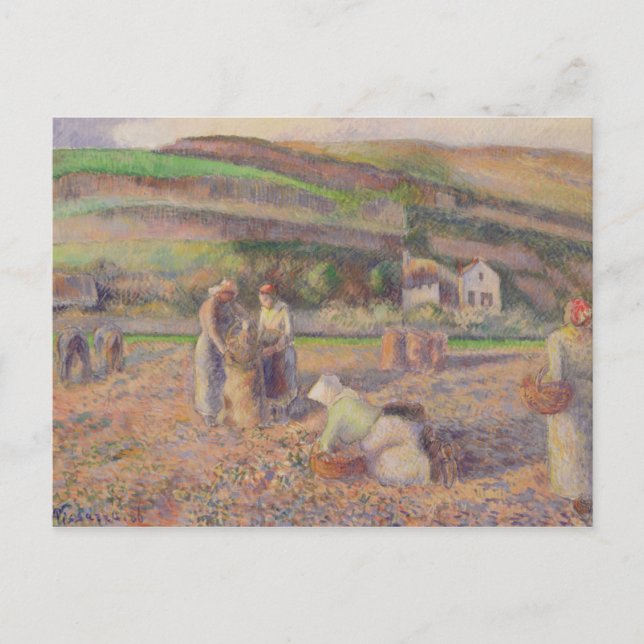 Postal Camille Pissarro | La cosecha de papa (Anverso)