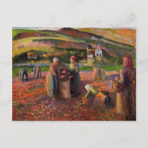 Postal Camille Pissarro-Potato Harvest